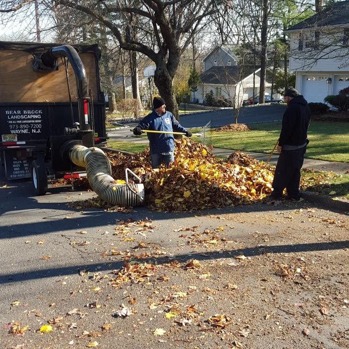 Lawn care team seasonal cleanup